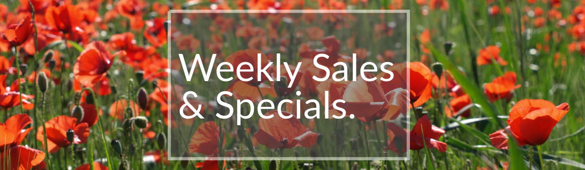 Large Tree Weekly Sales Colorado Large Tree Weekly Sales Colorado