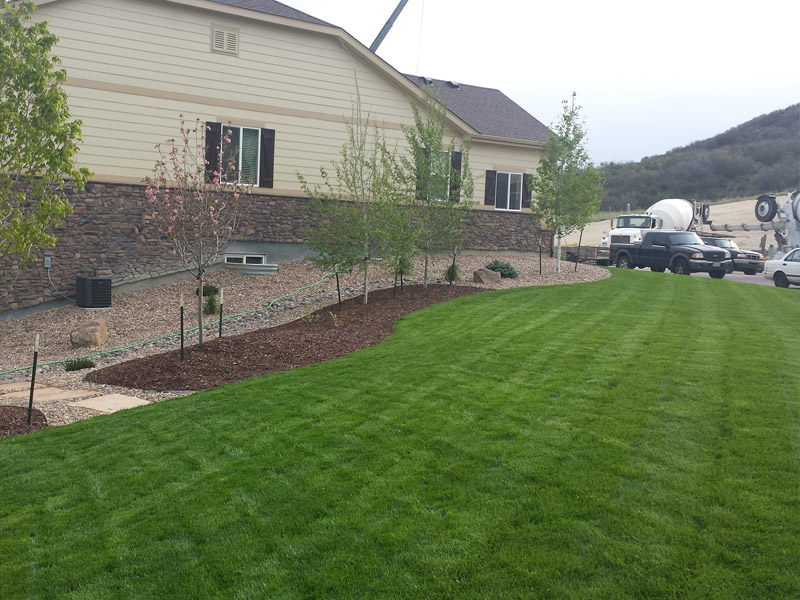 mulch-sod-1